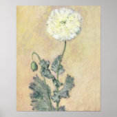 Claude Monet | Witte papaver, 1883 Poster (Voorkant)