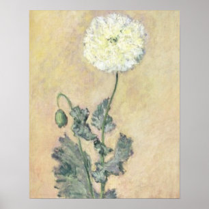 Claude Monet   Witte papaver, 1883 Poster