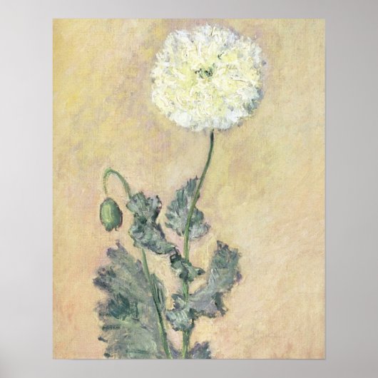 Claude Monet | Witte papaver, 1883 Poster (Voorkant)