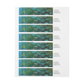 Claude Monet's Nymphéas (Vel)