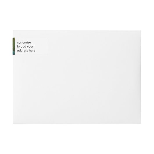 Claude Monet's Nymphéas (Voorkant)