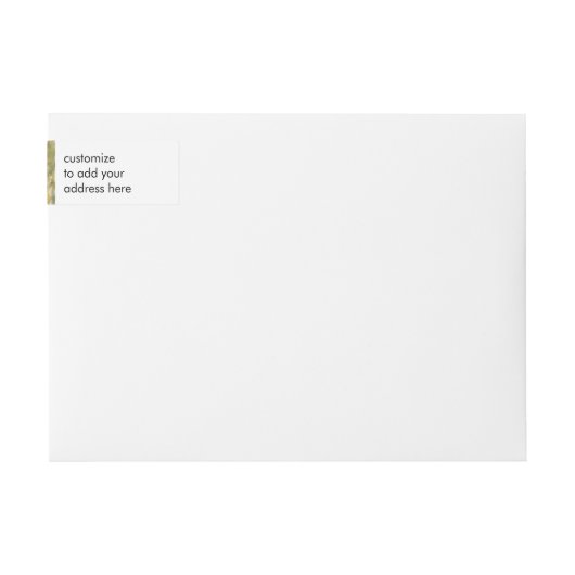 Claude Monet's weeping Willow (Voorkant)