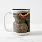 Claudia Mullek/Ann Coddington Mok (Links)