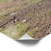 Clava Cairns-Inverness, Schotland Perfect Poster (Hoek)