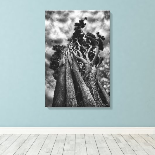 Clawing The Skies, beeldende kunst zwart-wit Canvas Afdruk (Insitu (Houten vloer))