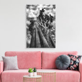 Clawing The Skies, beeldende kunst zwart-wit Canvas Afdruk (Insitu (Woonkamer))