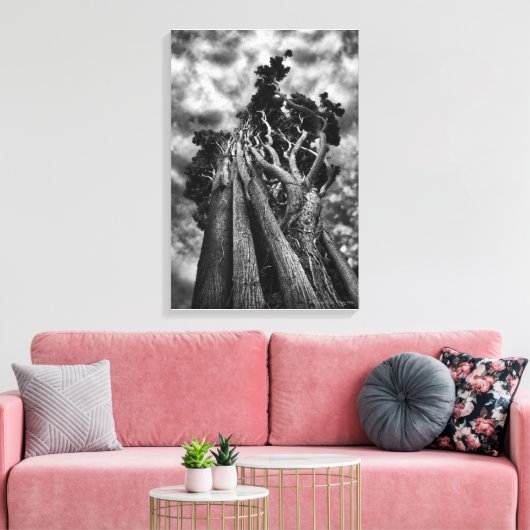 Clawing The Skies, beeldende kunst zwart-wit Canvas Afdruk (Insitu (Woonkamer))