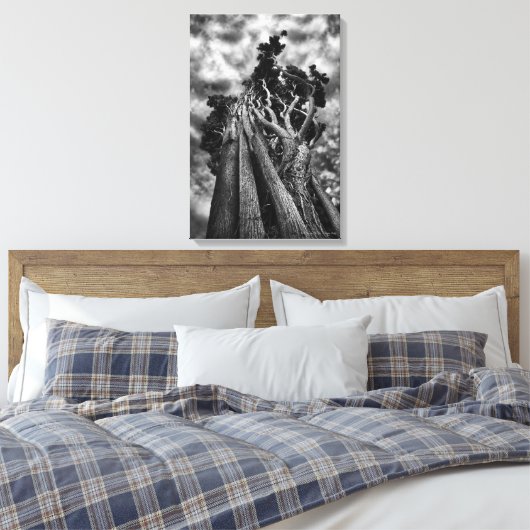 Clawing The Skies, beeldende kunst zwart-wit Canvas Afdruk (Insitu (Slaapkamer))