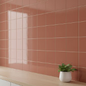 Clay #b66a50 – Warm, Mellow, Natural Orange Tegeltje