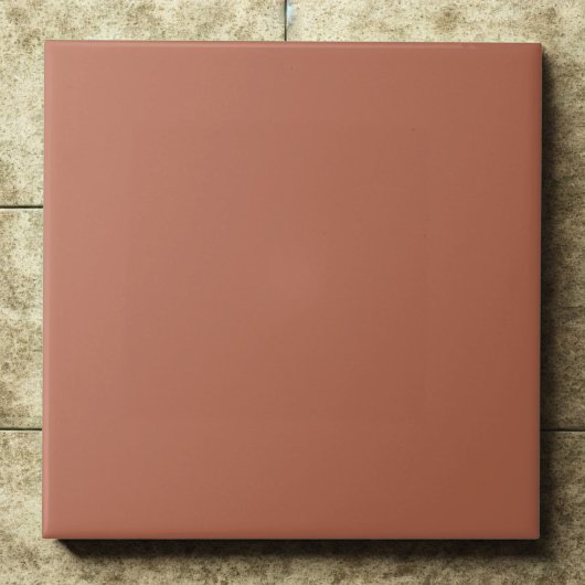 Clay #b66a50 – Warm, Mellow, Natural Orange Tegeltje