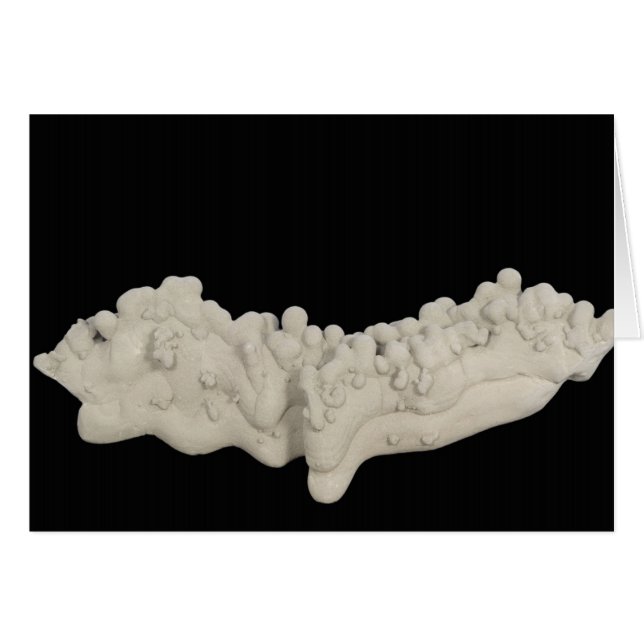 Clay Concretion (Voorkant Horizontaal)