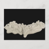 Clay Concretion Briefkaart (Voorkant)