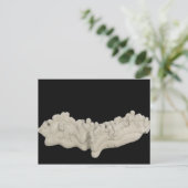 Clay Concretion Briefkaart (Staand voorkant)