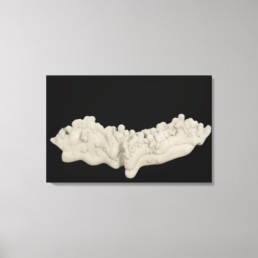 Clay Concretion Canvas Afdruk (Voorkant)