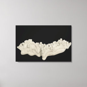 Clay Concretion Canvas Afdruk