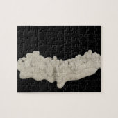 Clay Concretion Legpuzzel (Horizontaal)