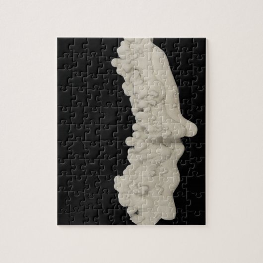 Clay Concretion Legpuzzel (Verticaal)