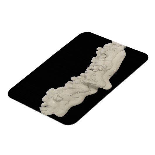 Clay Concretion Magneet (Linkerzijde)