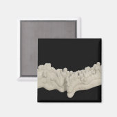 Clay Concretion Magneet (Voorkant / Achterkant)