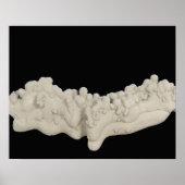 Clay Concretion Poster (Voorkant)