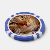 Clay Poker Chips - "Green Eyed Kat" van SnapDaddy (Enkel)