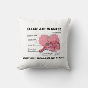 Clean Air wilde omdat rook de Alveoli-Humor roken Kussen