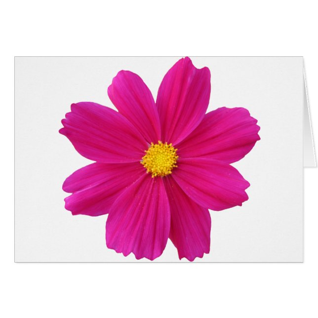 Clean.png (Voorkant Horizontaal)