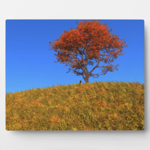 Clear Autumn Day Photo Plaque Fotoplaat