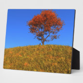 Clear Autumn Day Photo Plaque Fotoplaat (Zijkant)
