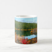 Clear Lake Autumn Oregon Mok (Center)