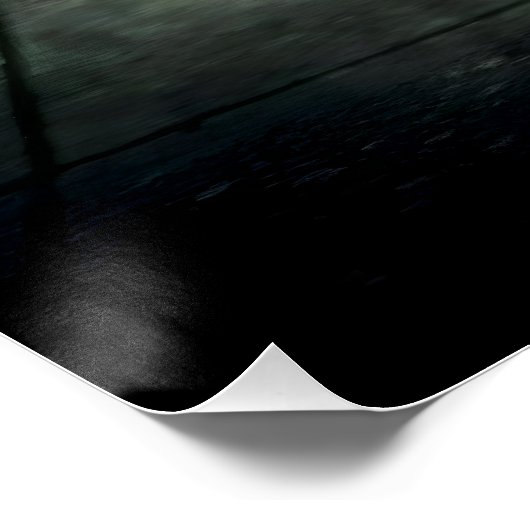 Clear Shadows glossy poster (Hoek)