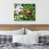Clear Wing Hummingbird Moth Canvas Afdruk (Insitu (Slaapkamer))