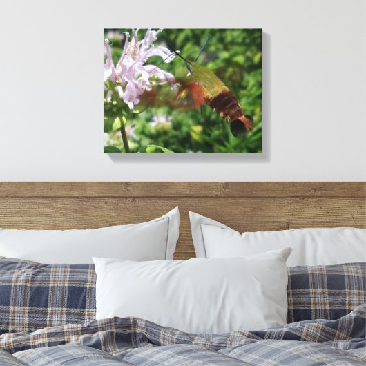 Clear Wing Hummingbird Moth Canvas Afdruk (Insitu (Slaapkamer))