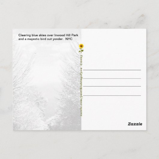 Clearing Skies & Tailwinds, NYC -  Briefkaart (Achterkant)