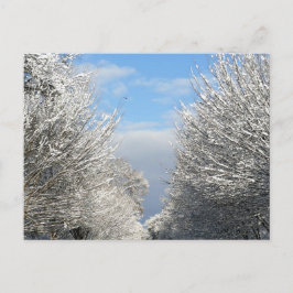 Clearing Skies & Tailwinds, NYC -  Briefkaart