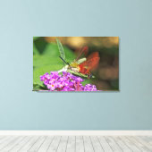 Clearings Hummingbird Hawk Moth Canvas Afdruk (Insitu (Houten vloer))