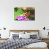 Clearings Hummingbird Hawk Moth Canvas Afdruk (Insitu (Slaapkamer))