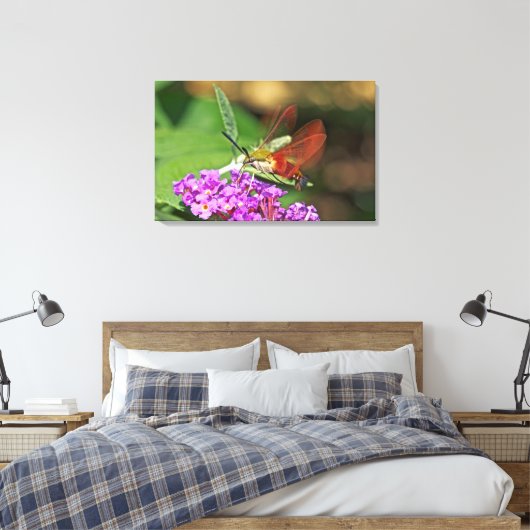 Clearings Hummingbird Hawk Moth Canvas Afdruk (Insitu (Slaapkamer))