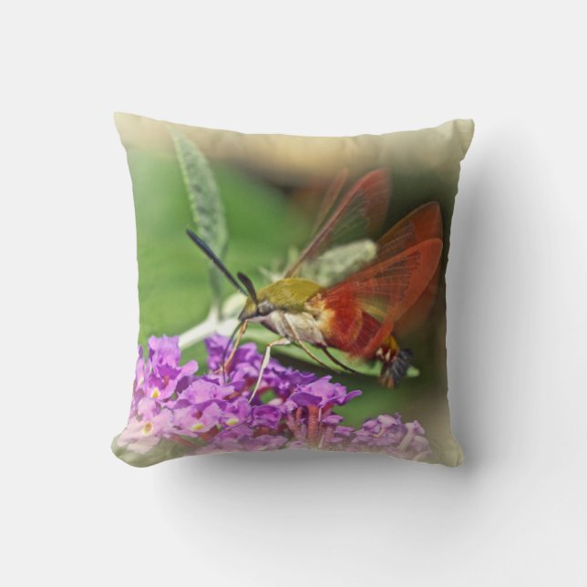 Clearings Hummingbird Hawk Moth Kussen (Voorkant)