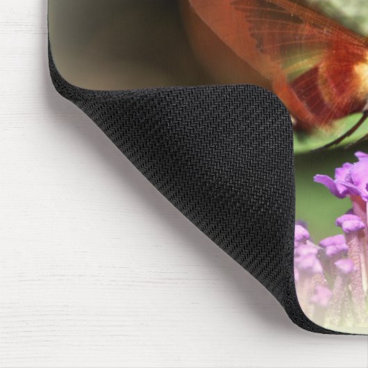 Clearning Hawk Moth - Hemaris thysbe Muismat (Hoek)