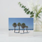 Clearwater Beach FL Briefkaart (Staand voorkant)