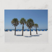 Clearwater Beach FL Briefkaart (Voorkant)