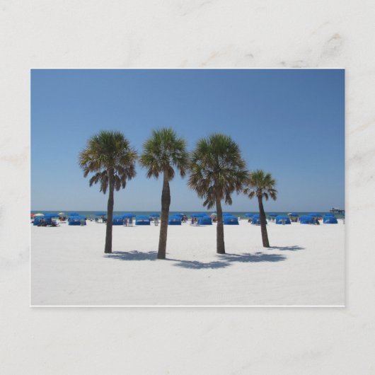 Clearwater Beach FL Briefkaart (Voorkant)