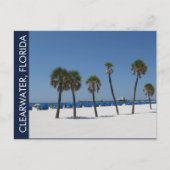 Clearwater Beach FL Briefkaart (Voorkant)