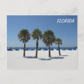 Clearwater Beach FL Briefkaart (Voorkant)