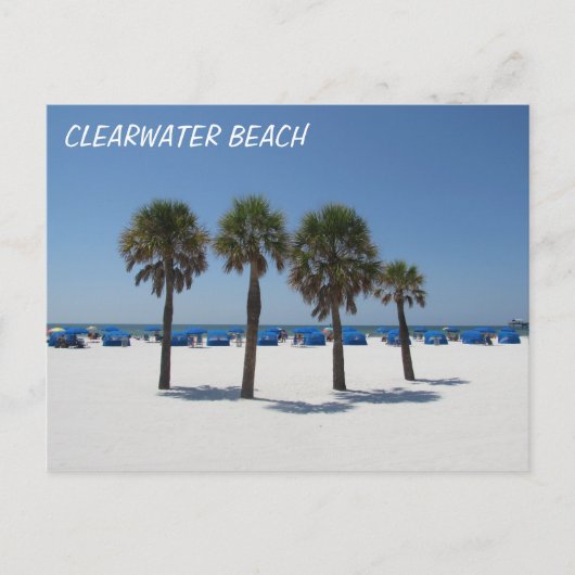 Clearwater Beach FL Briefkaart (Voorkant)