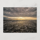 Clearwater Beach, Florida Briefkaart (Voorkant)