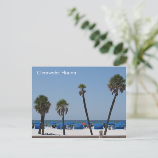 Clearwater Beach, Florida Briefkaart (Staand voorkant)