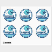 Clearwater Beach Florida Palmboom Vogels Ronde Sticker (Vel)