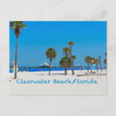 Clearwater Beach Florida Post Card Briefkaart (Voorkant)